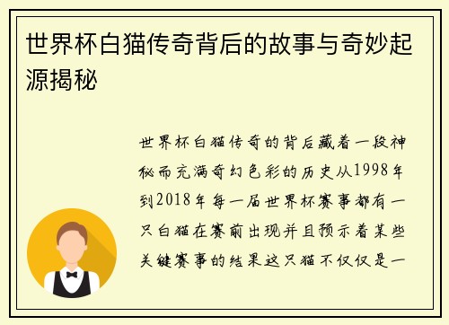 世界杯白猫传奇背后的故事与奇妙起源揭秘
